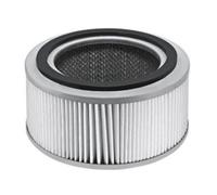 Filtre ABS HEPA T 191 et T 10/1