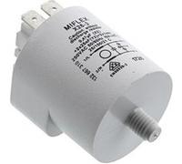 Filtre anti-parasites 10a pour lave-linge electrolux - aeg - privileg - faure - zanussi - zanker - ikea Autre G