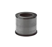 Filtre APF6003GL for purificateur d'air P1/P2 - H13 True HEPA Pet/Odor Filters