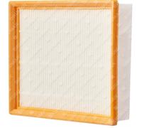 Filtre Aspirateur Bidon Original EGO AVF0900 063360