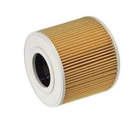 Filtre, aspirateur sec et humide KARCHER 6.414-789.0
