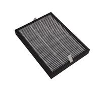 Filtre avec charbon actif Purificateur humidificateur (5314810051 DELONGHI)