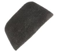 Filtre charbon - Friteuse (5312511171 DELONGHI)
