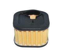 Filtre Compatible avec Les Moteurs 385XP, 390XP, 385 et 390 for tondeuses à Gazon Essence Outils de Nettoyage