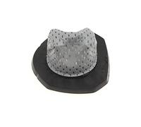 Filtre de bac Aspirateur FS-9100033243 ROWENTA