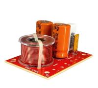 Filtre de croisement Hi-Fi 2 voies for haut-parleur 120 W, diviseur de fréquence stéréo 55 Hz - 20 kHz.