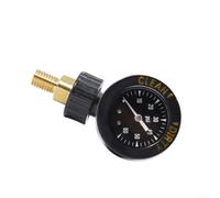 Filtre de piscine Jandy DEV CL Series pour CL340 CL460 CL580 340 460 580 avec indicateur propre et sale (raccord en cuivre)