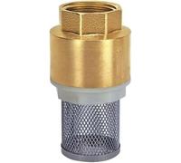Filtre de pompe à eau de canalisation, Filtre à clapet de pied for pompe à eau, nettoyeur haute pression, laiton, acier inoxydable, plusieurs tailles(1/2")