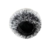 Filtre de protection pour micro pour microphone Zoom H4essential Portable Recorder Mic Cover Wind Foam