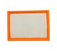 Filtre de rechange pour aspirateur EGO AVF0900 compatible avec Power+ WDV0900 Aspirateur eau et poussière capture les particules jusqu'à 0,5 microns Plastique robuste pour une qualité d'air optimale