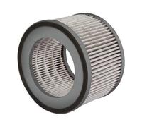 Filtre de rechange Soehnle Airfresh Clean 300 68106 gris 1 pc(s)