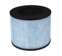 Filtre De Remplacement, Compatible Avec Le Purificateur D'air Instantané AP100 AP200 AP300, Filtre De Qualité H13, Pièce F100 F200 F300(AP100)