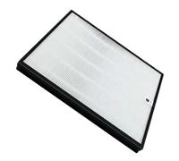 Filtre De Remplacement, Compatible With Boneco H300, 250x250x30mm
