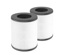 Filtre de remplacement H13 True HEPA, Compatible avec Tenergy Renair Cool-Living CL-6070A Beaba Tredy TD-1300, filtre à Air HEPA (Color : 2PCS)