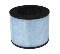 Filtre de remplacement type F100 compatible avec le purificateur d'air AP100 à particules qualité H13 revêtement antibactérien et matériau charbon actif(1 Pcs)