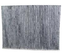 JP Group Filtre d'habitacle pour Seat Ibiza 6K au charbon actif