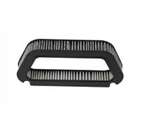 Filtre d'habitacle Filtre à charbon actif 18190541001 vika pour AUDI A8 D3