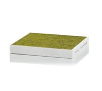 Filtre d'habitacle Filtre à charbon actif avec polyphenol FP 24 021 MANN-FILTER