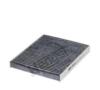 Hengst & Co Filtre d'habitacle E961LC au charbon actif 252-217×31 mm