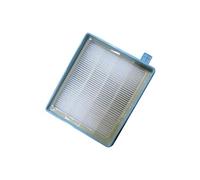 Filtre Hepa Aspirateur 432200493801 - 296924