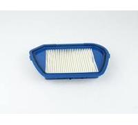 FILTRE HEPA ASPIRATEUR COMPACTEO (RS-RT900097)