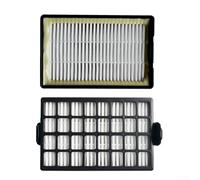 Filtre HEPA compatible avec Samsung SC8452 SC8453 SC8460 SC8461 SC8462 SC8470 SC8471 SC8480 SC8481 SC8483 SC84E0 VC-PBN815 VH84 DJ97-00339G ( Lot de 2)