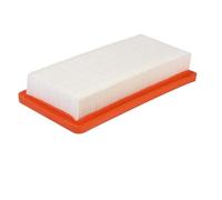 Filtre HEPA, Compatible for Karcher DS5500 DS6000 DS5600 DS5800, 6.414-631.0 remplacement de filtre accessoire d'aspirateur (Color : 2PCS)