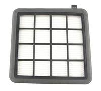 Filtre Hepa H10 (254408-49944) - Aspirateur (4055354866 TORNADO)