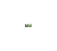Rowenta ZR002901 Filtre Aspirateur sans sac
