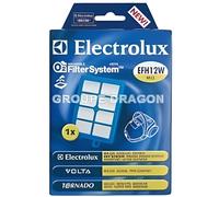 Filtre HEPA Lavable - ELECTROLUX - EFH12W - Compatible Aspirateurs - Pièce d'origine - Blanc