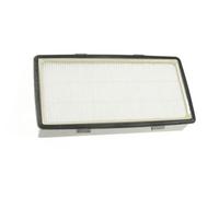 PIECES ASPIRATEUR NETTOYEUR PETIT ELECTROMENAGER RS-RT4310 FILTRE HEPA
