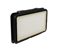 vhbw filtre d'aspirateur remplace les filtres Rowenta RS-RT4109, ZR902501 filtre pour aspirateur - filtre HEPA filtre anti-allergique