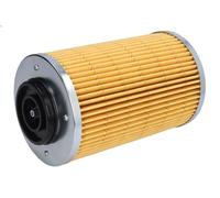 Filtre hydraulique MANN-FILTER HD 13 010 X