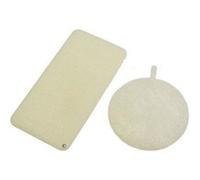 Electrolux Filtre moteur EF23/CLARIO – 1 filtre