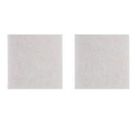 Filtre moteur ef1 entree moteur 204x295 pour petit electromenager electrolux - ef1 G
