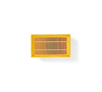 filtre moteur pour aspirateur kärcher rechange