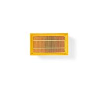 Filtre Moteur Pour Aspirateur Kärcher Rechange