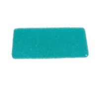 Filtre mousse vert (89827-49744) - Aspirateur robot (MDJ62305401 LG)