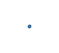 filtre permanent lavable d'origine pour dc08, dc14