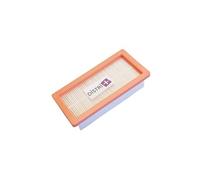 Filtre plissé plat - Distri+ - KARCHER AD2/AD3/AD4 - 194MM - 48MM - Compatible 6.415-953.0