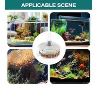 Filtre pour Aquarium | Équipement de Filtre pour Petit Aquarium,Système De Filtration Compact Pour Écosystèmes Aquatiques Et Bacs De Récupération