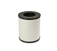 Filtre pour purificateur d'air
