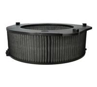 Filtre purificateur d’air vhbw - Préfiltre fin + HEPA + charbon actif, compatible Ideal 8741099 G