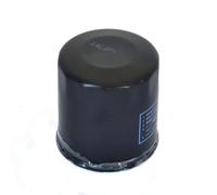 Filtre à huile Athena pour Auto FFP003 583.38.045.000 eq HF156 Neuf