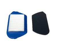 Filtres de poussière HEPA for Rowenta Ro53 Compacteo ergo cyclone-zr005501 zyklon ZR005501 Affairs accessoires Kit Pièces RO535321