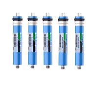 Filtres de remplacement de Membrane RO d'osmose inverse 50G 75G 100G 125G 150G 200G 300G 400G pour la Filtration d'eau, filtre purificateur d'eau 2012 125GPD 1PC