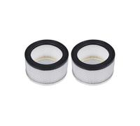 Filtres HEPA 2 pcs pour aspirateur à cendres lavables