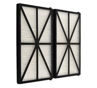Lot de deux filtres HAYWARD compatible TigerShark et Aquavac