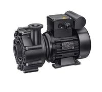 FILTRINOV Pompe de Filtration Speck