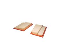 FILTRON AP 034/4-2x Filtre à air - pour VÉHICULE DE TOURISME + UTILITAIRES